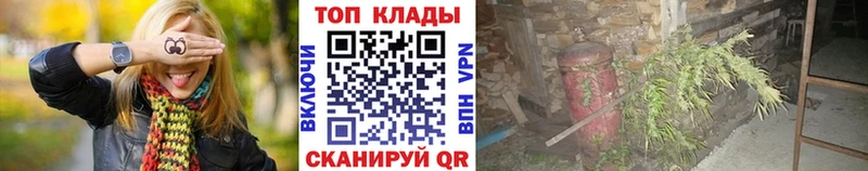 ГАШ Лесной