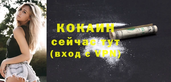 стаф Краснослободск