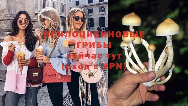 стаф Краснослободск