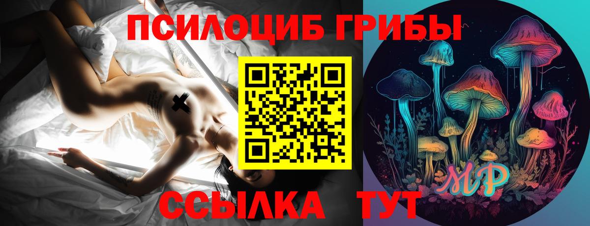 Галлюциногенные грибы Psilocybe  Вход с VPN  Лесной 