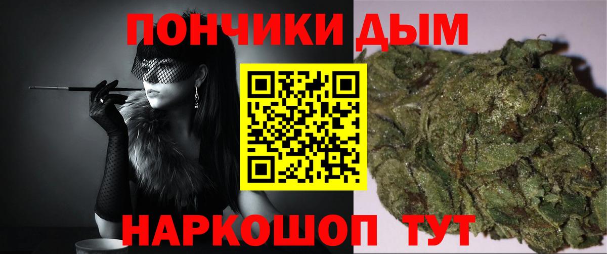 Каннабис SATIVA & INDICA Лесной