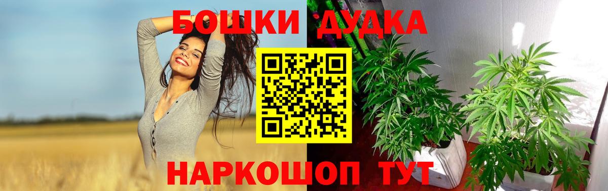 Лесной  Конопля планчик  Бошки Шишки VHQ  МАРИХУАНА марихуана  Вход с VPN  Бошки марихуана индика 